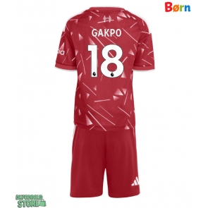 Liverpool Cody Gakpo #18 Replika Babytøj Hjemmebanesæt Børn 2026-27 Kortærmet (+ Korte bukser)